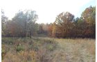 Tract 6 - OKLAHOMA LAND & REAL ESTATE AUCTION, 438 +/- Acres offered in 13 Tracts
